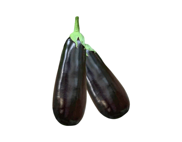 Aubergine Alex RZ