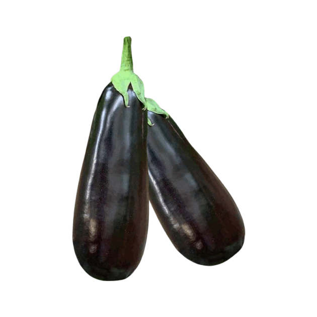 Aubergine Alex RZ