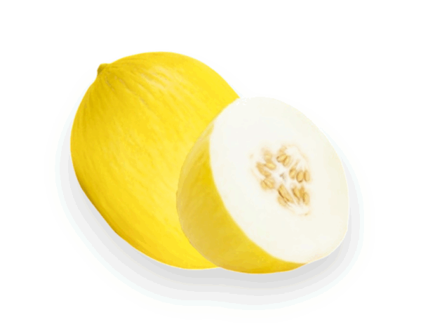 MELON AZILAL