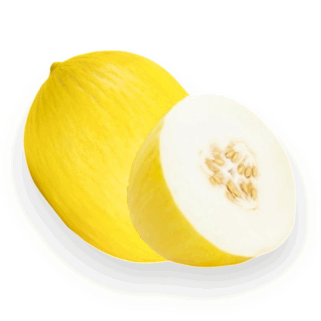 MELON AZILAL