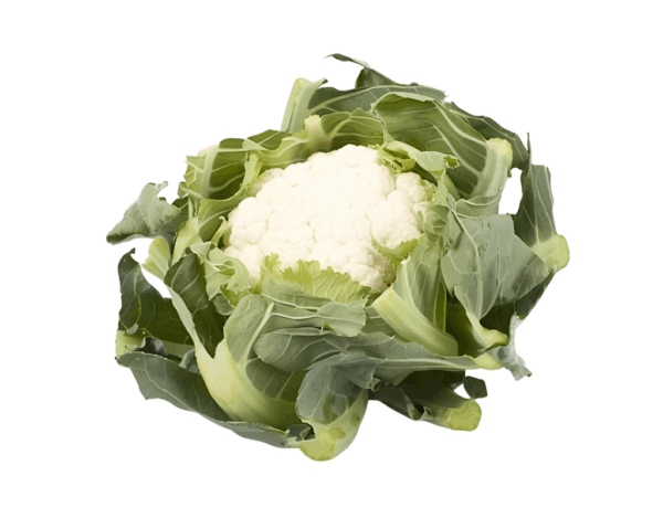 Chou Fleur CASPER